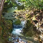 Apartman Moja Nad Potokiem 1868 Zakopane