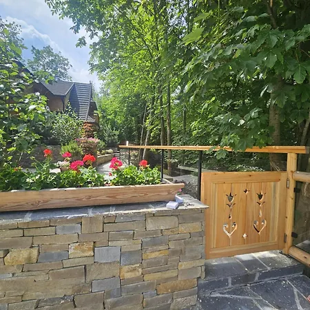 Daire Moja Nad Potokiem 1868 *