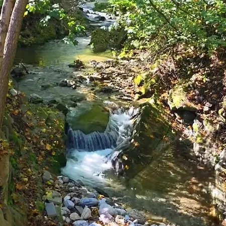 Apartamento Moja Nad Potokiem 1868 Zakopane
