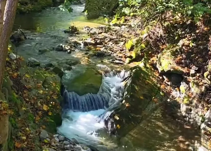 Apartamento Moja Nad Potokiem 1868 Zakopane
